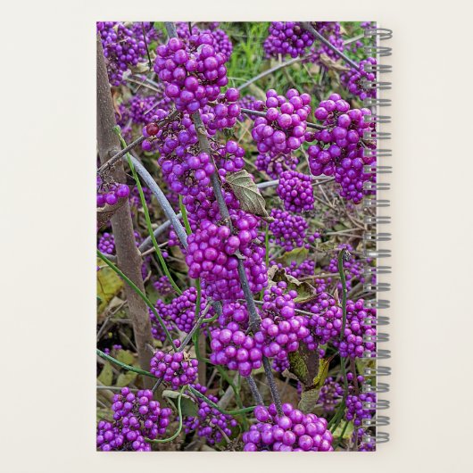 Lila American Beautyberry Botanical Notizblock (Rückseite)