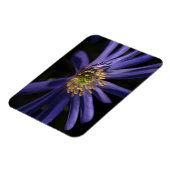 Lila Anemon Magnet (Linke Seite)