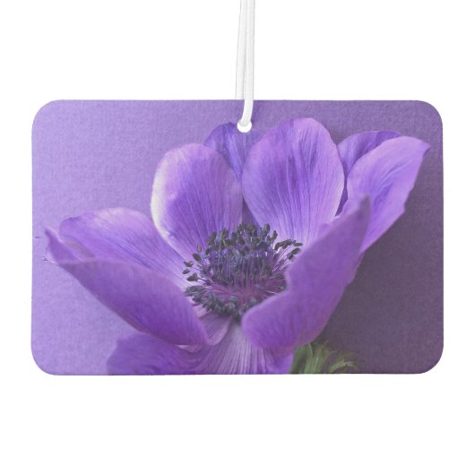 Lila Anemon mit ähnlichem Hintergrund Autolufterfrischer (Rückseite)