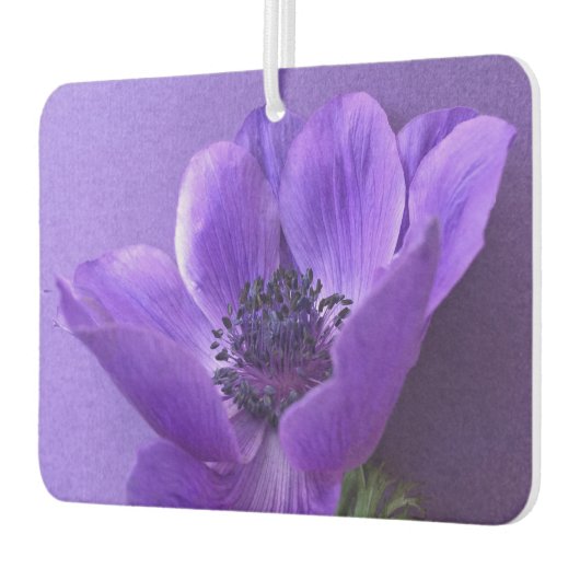 Lila Anemon mit ähnlichem Hintergrund Autolufterfrischer (Links)