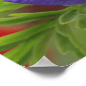 Lila Anemon Poster (Ecke)