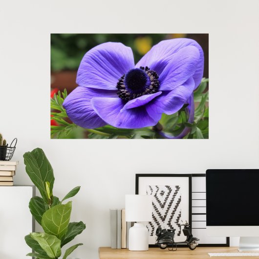 Lila Anemon Poster (Heimbüro)