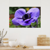 Lila Anemon Poster (Küche)