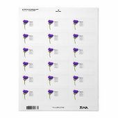 Lila Anemone-Blume Adressaufkleber (Vorne)