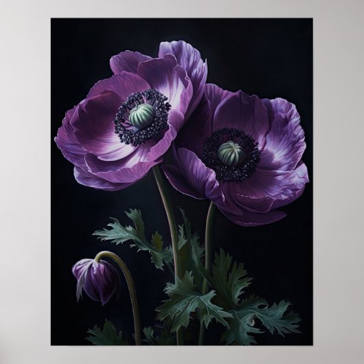 Lila Anemone Blume Art Print Poster (Vorne)