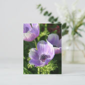 Lila Anemone Blume Postkarte (Stehend Vorderseite)