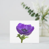 Lila Anemone-Blume Postkarte (Stehend Vorderseite)