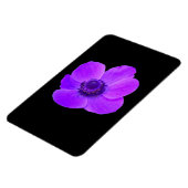 Lila Anemone Premium Magnet (Linke Seite)