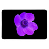 Lila Anemone Premium Magnet (Horizontal)