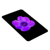 Lila Anemone Premium Magnet (Rechte Seite)