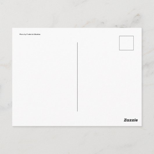 Lila Angel Postkarte (Rückseite)