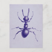 Lila Ant Bug Insect Digitale Kunst Postkarte (Vorderseite)