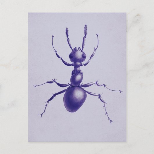 Lila Ant Bug Insect Digitale Kunst Postkarte (Vorderseite)