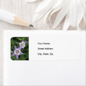 Lila Aquilegium, Columbine Address Label (Insitu)