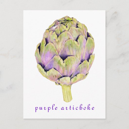 Lila Artichoke Postkarte (Vorderseite)