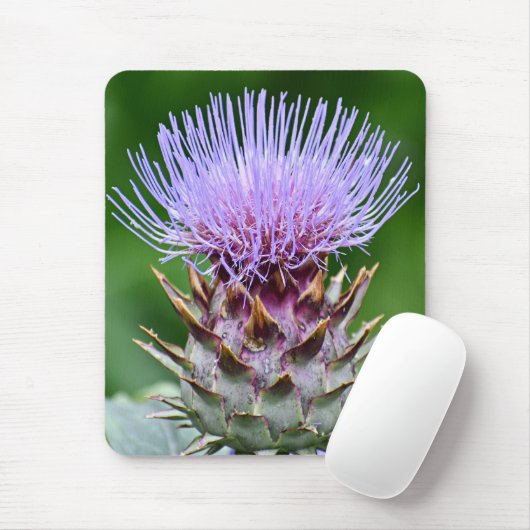 Lila Artichoke Thistle Head Floral Mousepad (Mit Mouse)