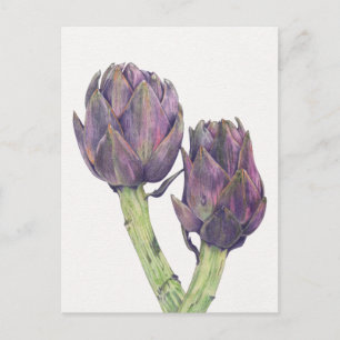Lila Artichokes Postkarte