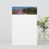 Lila Aster-Blume auf dem Rainier Briefpapier (Stehend Vorderseite)