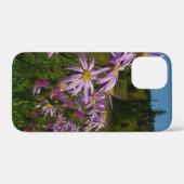 Lila Aster-Blume auf dem Rainier Case-Mate iPhone Hülle (Rückseite (Horizontal))