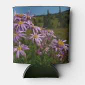 Lila Aster-Blume auf dem Rainier Dosenkühler (Vorderseite)