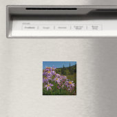 Lila Aster-Blume auf dem Rainier Magnet (In Situ (Geschirrspüler))