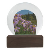 Lila Aster-Blume auf dem Rainier Schneekugel (Rückseite)