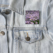 Lila Aster-Blume Button (Beispiel)