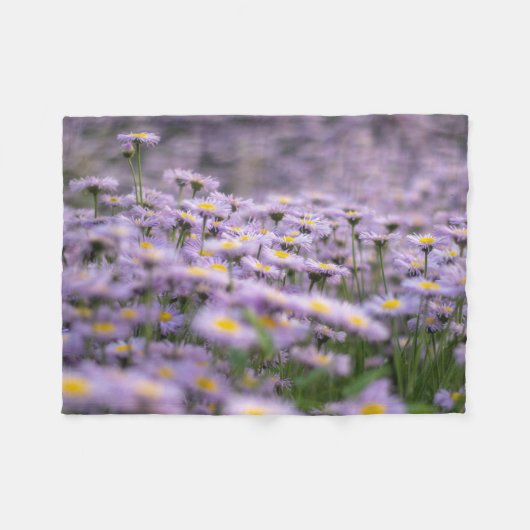 Lila Aster-Blume Fleecedecke (Vorderseite (Horizontal))