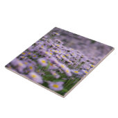 Lila Aster-Blume Fliese (Seite)