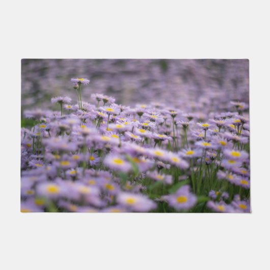 Lila Aster-Blume Fußmatte (Vorderseite)