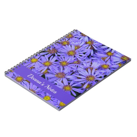 Lila Aster-Blume im RHS Garden Wisley Notizblock (Linke Seite)