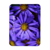 Lila Aster-Blume im RHS Garden Wisley Thinking Magnet (Vertikal)
