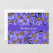 Lila Aster-Blume im RHS Garden Wisley Thinking Postkarte (Vorne/Hinten)