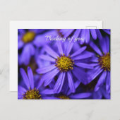 Lila Aster-Blume im RHS Garden Wisley Thinking Postkarte (Vorne/Hinten)