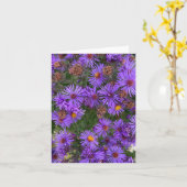 Lila Aster-Blume in einem Gartenfoto Karte (Gelbe Blume)