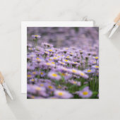 Lila Aster-Blume Karte (Vorderseite/Rückseite Beispiel)