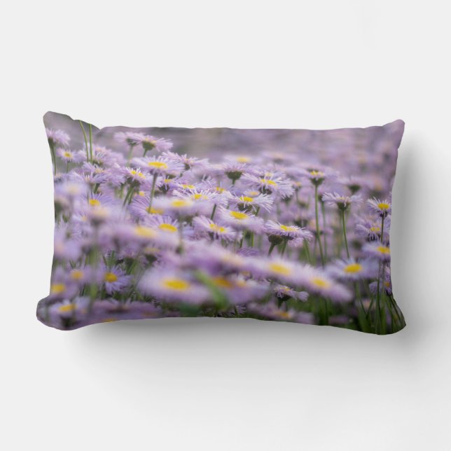 Lila Aster-Blume Lendenkissen (Vorderseite)