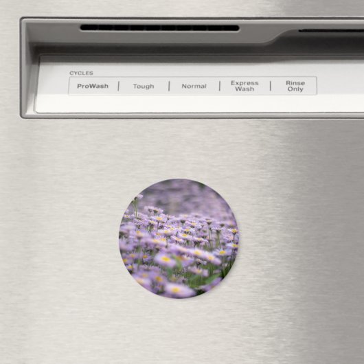 Lila Aster-Blume Magnet (In Situ (Geschirrspüler))