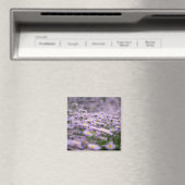 Lila Aster-Blume Magnet (In Situ (Geschirrspüler))
