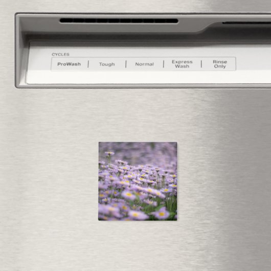 Lila Aster-Blume Magnet (In Situ (Geschirrspüler))