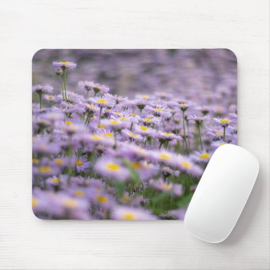 Lila Aster-Blume Mousepad (Mit Mouse)