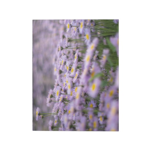 Lila Aster-Blume Notizblock (Rotiert)