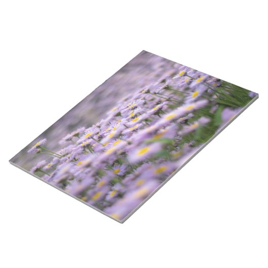 Lila Aster-Blume Notizblock (angewinkelt)