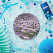 Lila Aster-Blume Pappteller (Party)