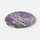 Lila Aster-Blume Pappteller (Schrägansicht)