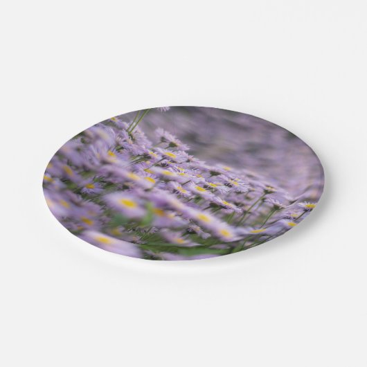 Lila Aster-Blume Pappteller (Schrägansicht)