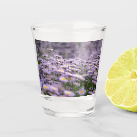 Lila Aster-Blume Schnapsglas (Vorderseite)