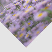 Lila Aster-Blume Seidenpapier (Ausschnitt)