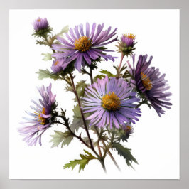 Lila Aster Blumen Art Print Poster