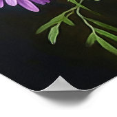 Lila Aster Blumen Art Print Poster (Ecke)